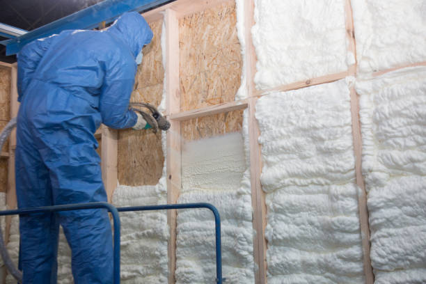 Best Attic Insulation Installation in North Manchester, IN